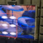 Terobosan Baru! Layar OLED yang Bisa Mengeluarkan Suara dari Setiap Piksel (ScienceDaily)