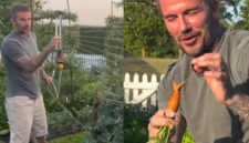 David Beckham Nikmati Hidup Sederhana, Berkebun dan Beternak di Lahan Mewah Cotswolds