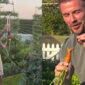 David Beckham Nikmati Hidup Sederhana, Berkebun dan Beternak di Lahan Mewah Cotswolds