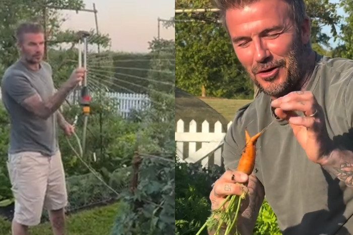 David Beckham Nikmati Hidup Sederhana, Berkebun dan Beternak di Lahan Mewah Cotswolds