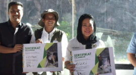 Titiek Soeharto Beri Nama Bayi Harimau Sumatera di Kebun Binatang Tertua Bukittinggi (DPR RI)